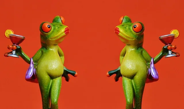 カクテルのイメージ写真