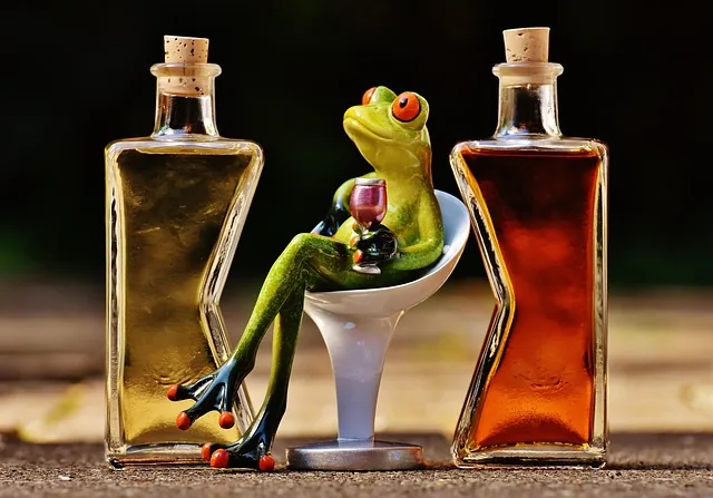 カクテルのイメージ写真
